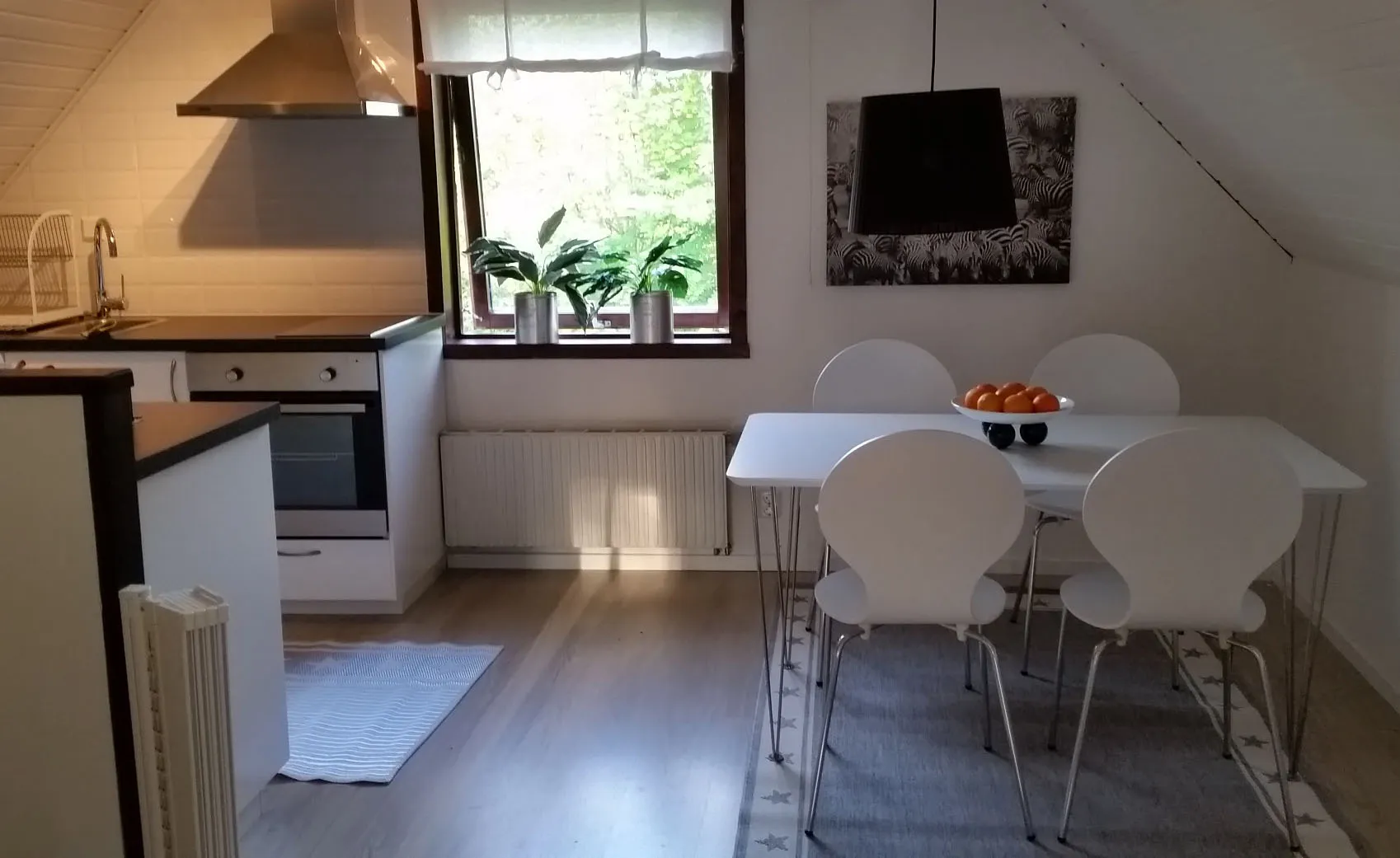 Kitchen and dining table in daylight, with plants on the windowsill