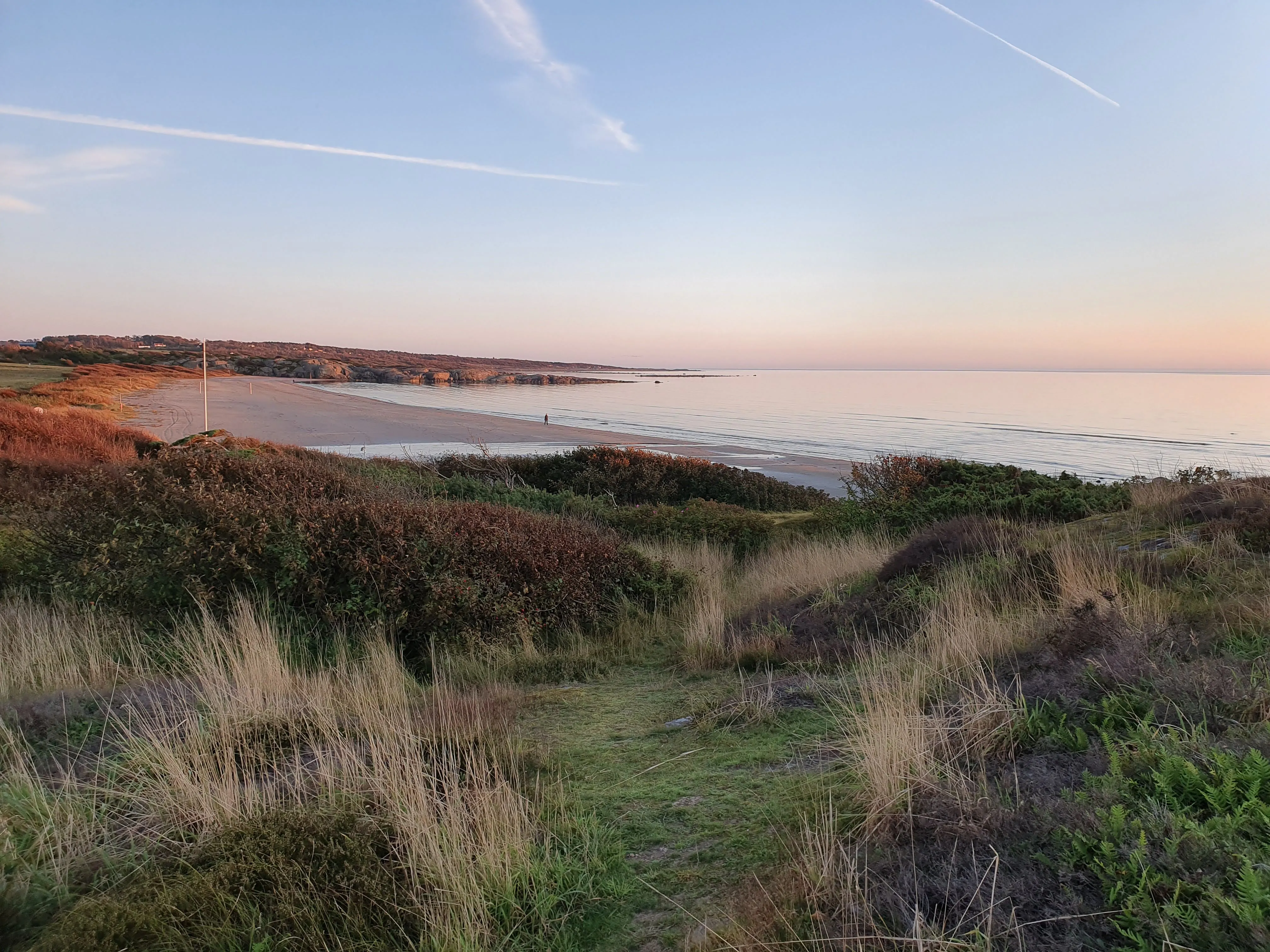 The long sandy beach and calm sea seen from the dunes at dusk, autumn colours in the grass