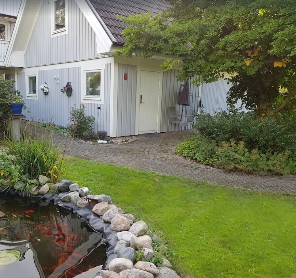 The house seen from the garden, with lawn, planting and a small pond